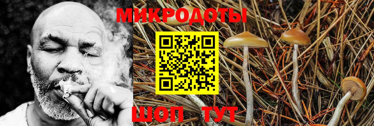 Галлюциногенные грибы мухоморы Всеволожск
