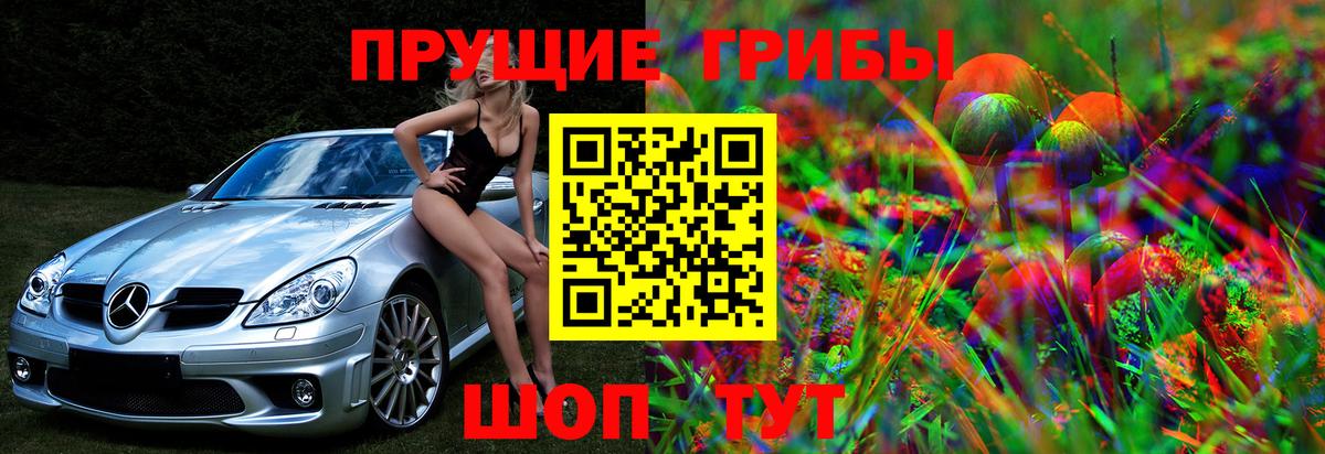 Всеволожск  Галлюциногенные грибы Psilocybe  Вход с VPN 