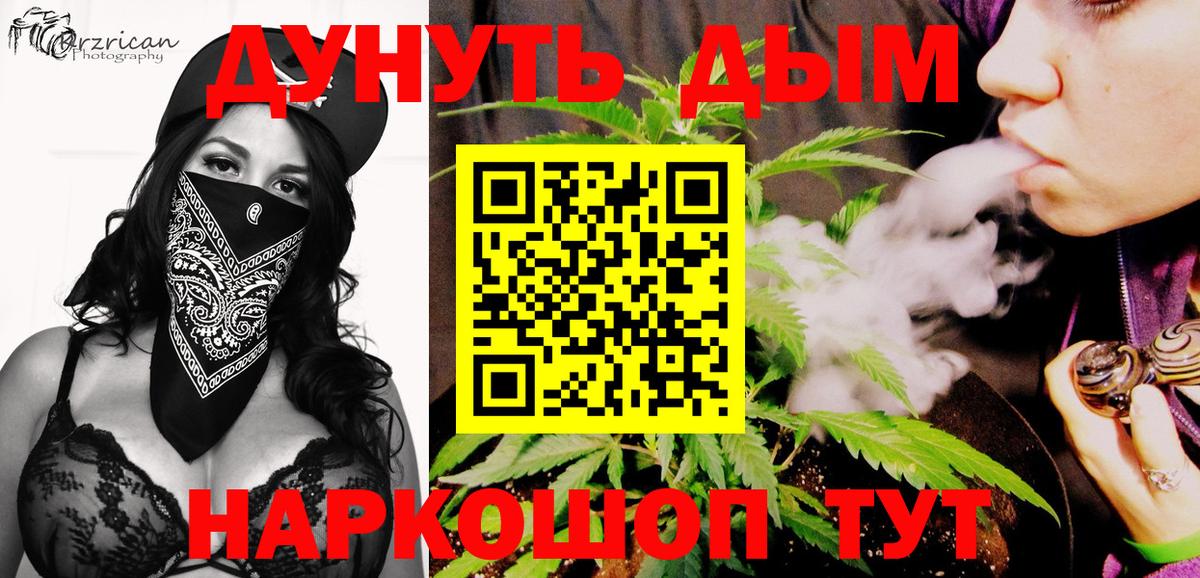 Конопля план Всеволожск